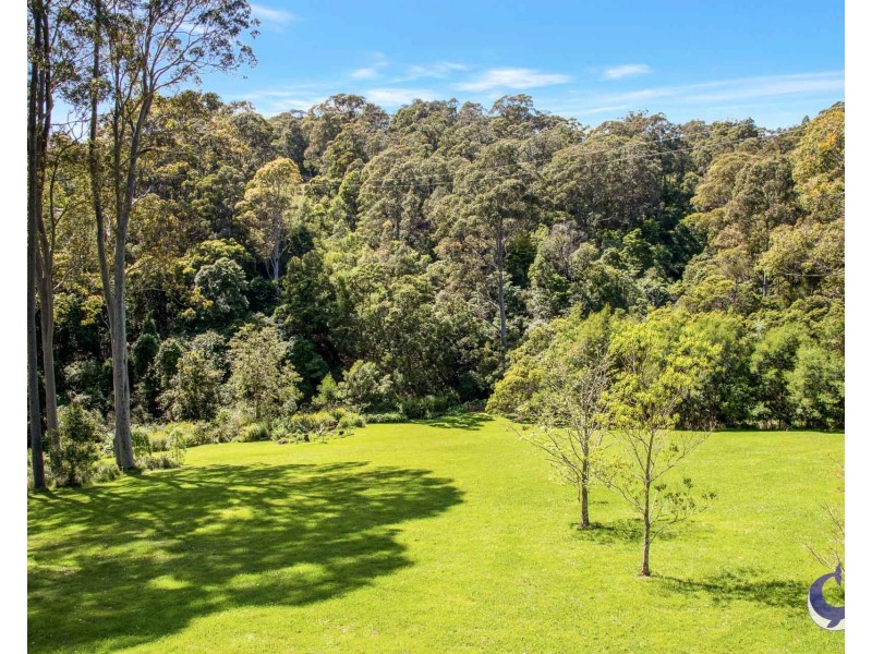 490 Punkalla Tilba Rd, Central Tilba NSW 2546