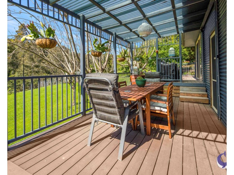 490 Punkalla Tilba Rd, Central Tilba NSW 2546