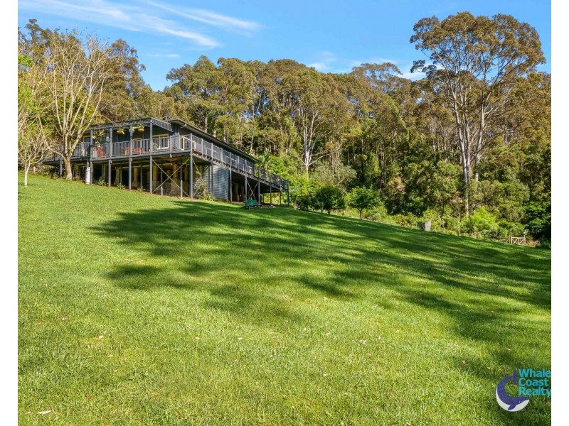 490 Punkalla Tilba Rd, Central Tilba NSW 2546