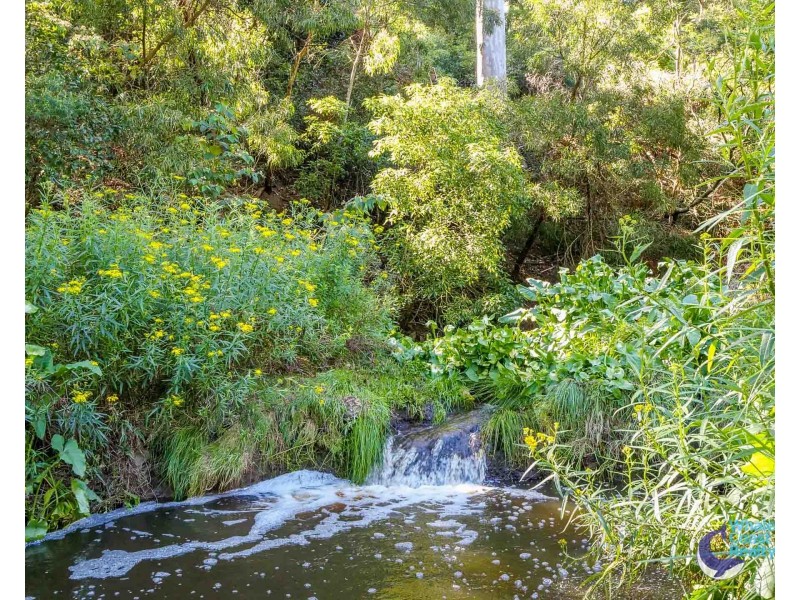 490 Punkalla Tilba Rd, Central Tilba NSW 2546