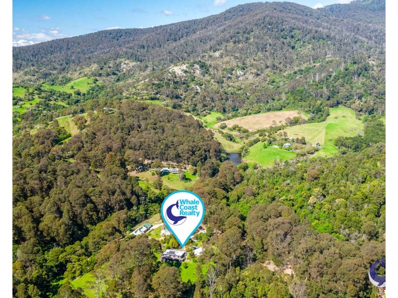 490 Punkalla Tilba Rd, Central Tilba NSW 2546