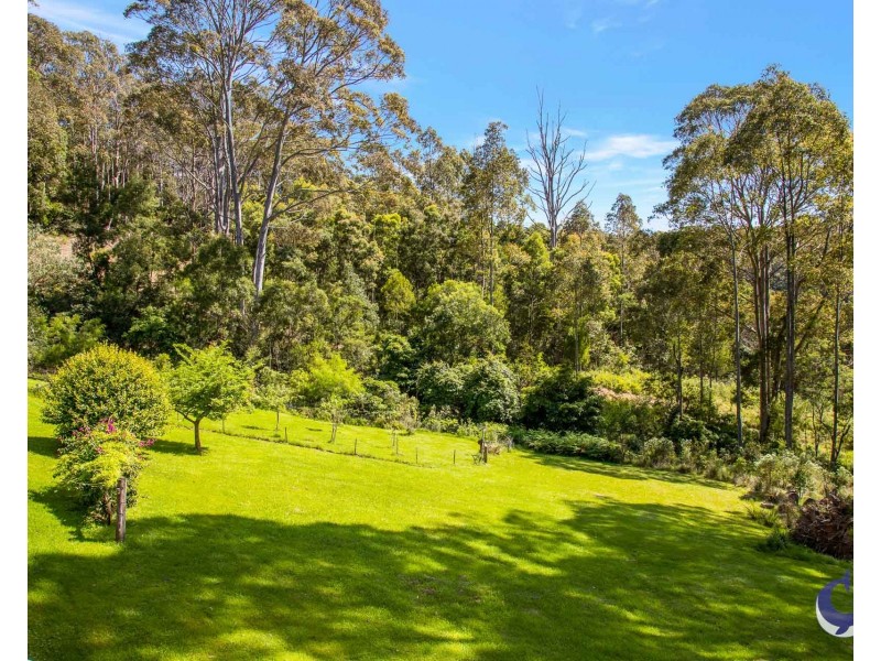 490 Punkalla Tilba Rd, Central Tilba NSW 2546