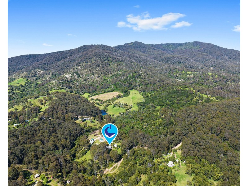 490 Punkalla Tilba Rd, Central Tilba NSW 2546