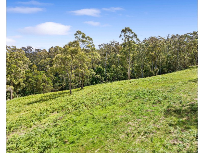 120 Frenchmans Gully Road, Kianga NSW 2546