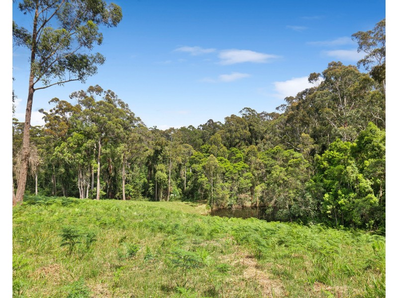 120 Frenchmans Gully Road, Kianga NSW 2546