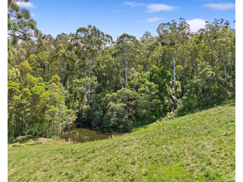 120 Frenchmans Gully Road, Kianga NSW 2546