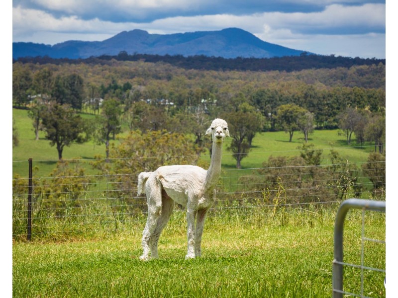 160 Eurobodalla Road, Bodalla NSW 2545