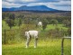 160 Eurobodalla Road, Bodalla NSW 2545