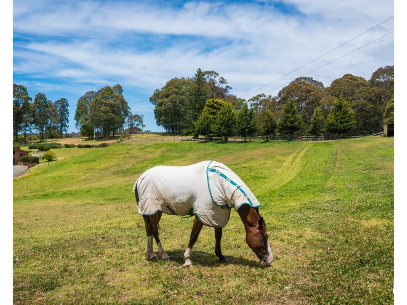 81 Old Highway, Narooma NSW 2546