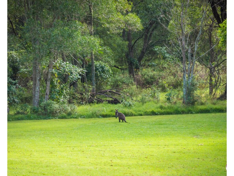 28 Rainforest Parkway, Narooma NSW 2546