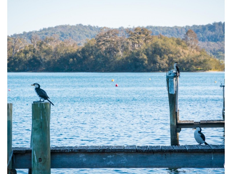 Boatshed Riverside Drive, Narooma NSW 2546