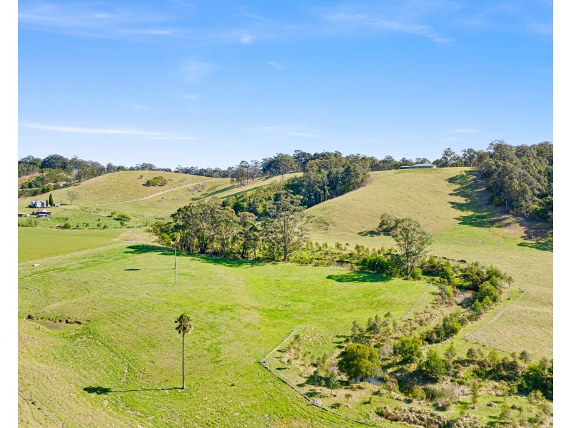 8193 PRINCES HIGHWAY, Central Tilba NSW 2546