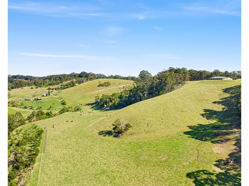 8193 PRINCES HIGHWAY, Central Tilba NSW 2546