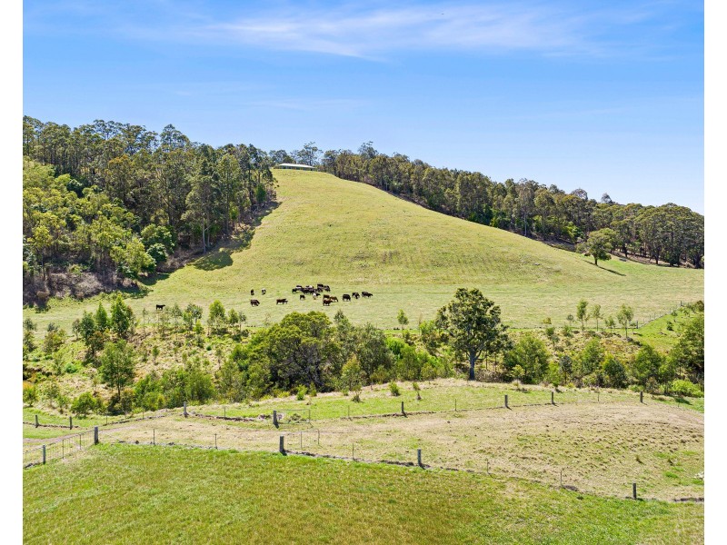 8193 PRINCES HIGHWAY, Central Tilba NSW 2546