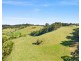 8193 PRINCES HIGHWAY, Central Tilba NSW 2546
