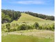 8193 PRINCES HIGHWAY, Central Tilba NSW 2546