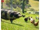 8193 PRINCES HIGHWAY, Central Tilba NSW 2546