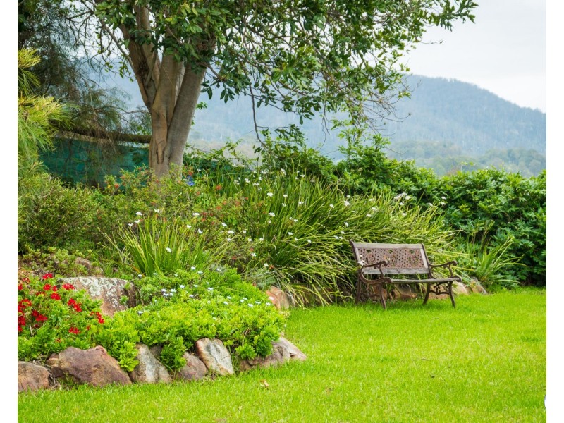 8217 Princes Highway, Central Tilba NSW 2546