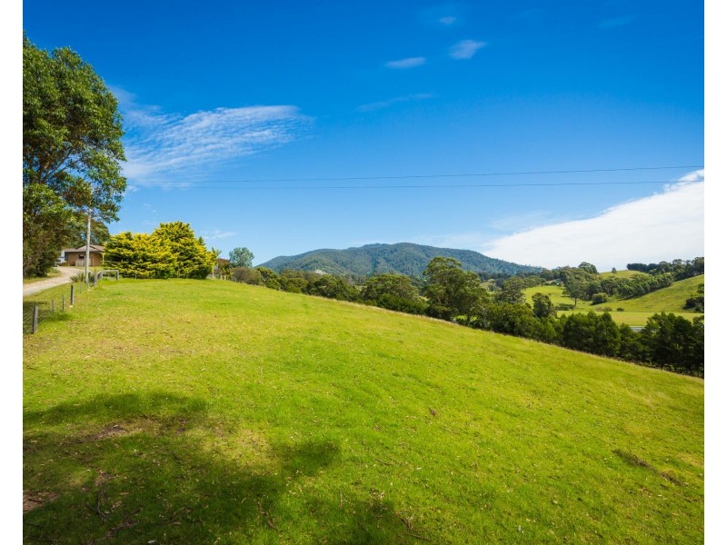 8217 Princes Highway, Central Tilba NSW 2546