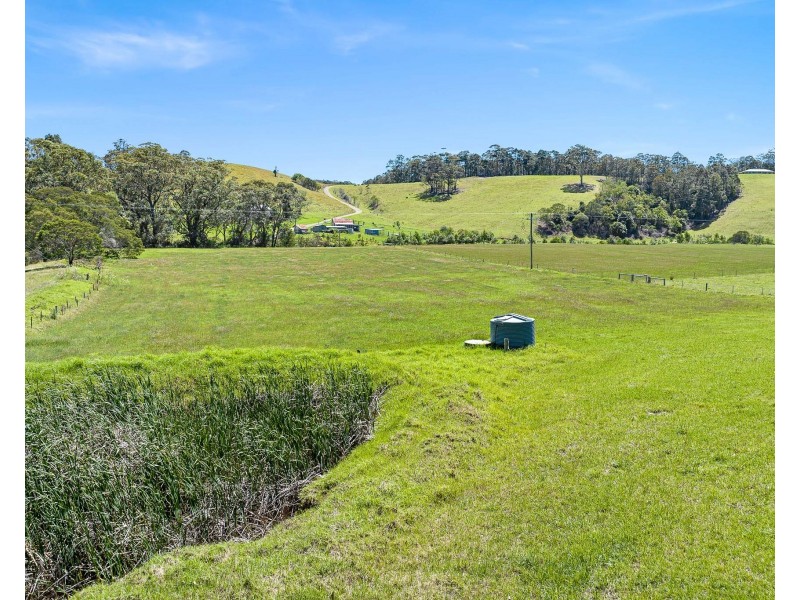 8217 Princes Highway, Central Tilba NSW 2546