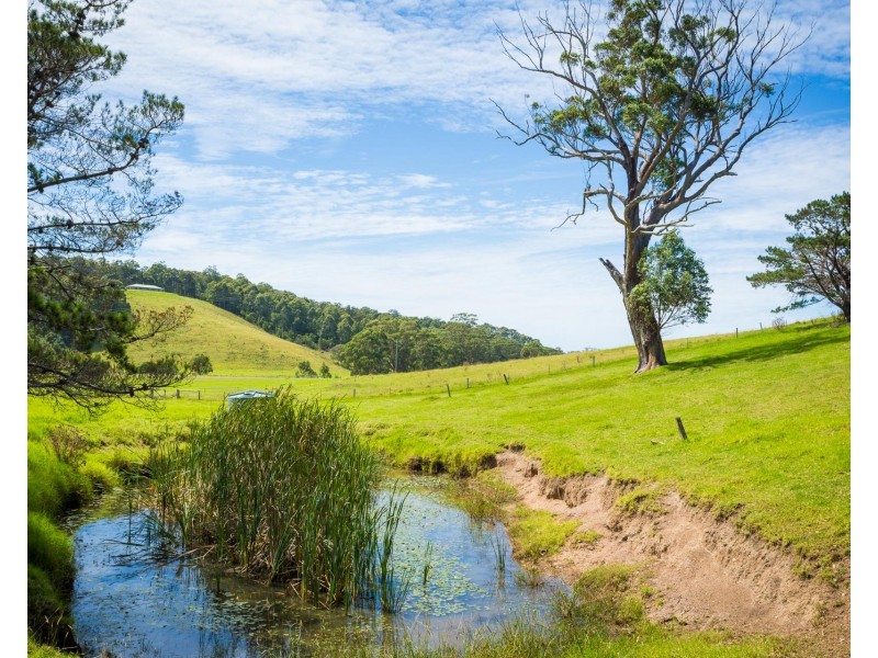 8217 Princes Highway, Central Tilba NSW 2546