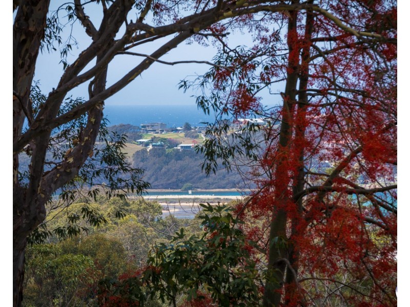 2 TOWER LANE, North Narooma NSW 2546