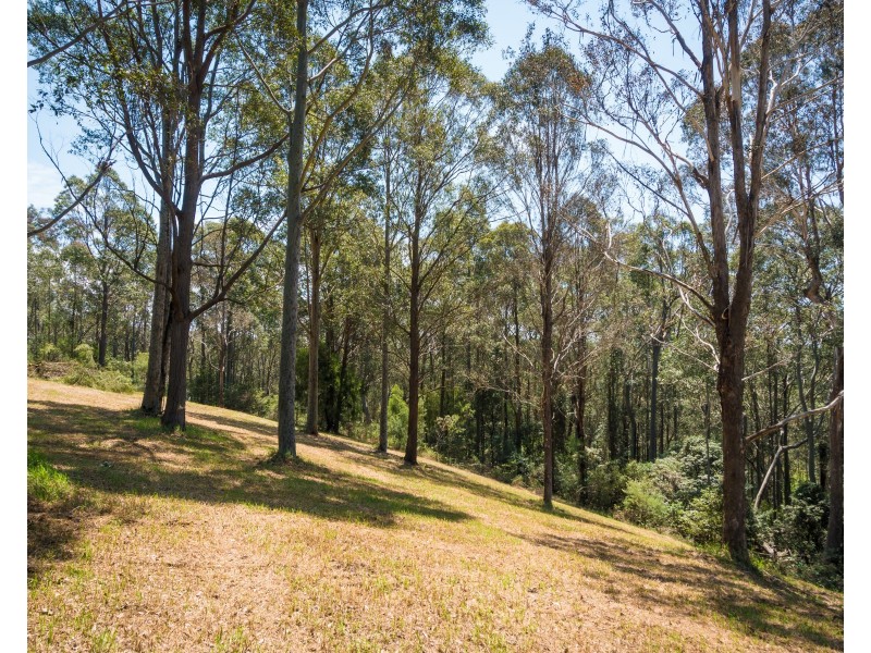 148 RIDGE ROAD, Corunna NSW 2546