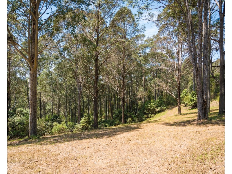 148 RIDGE ROAD, Corunna NSW 2546