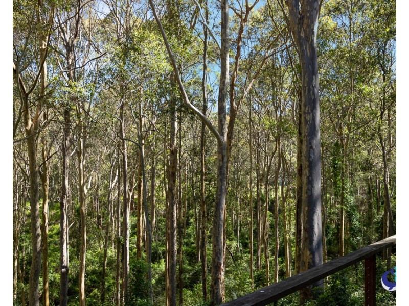 48 Woodlands Drive, Narooma NSW 2546