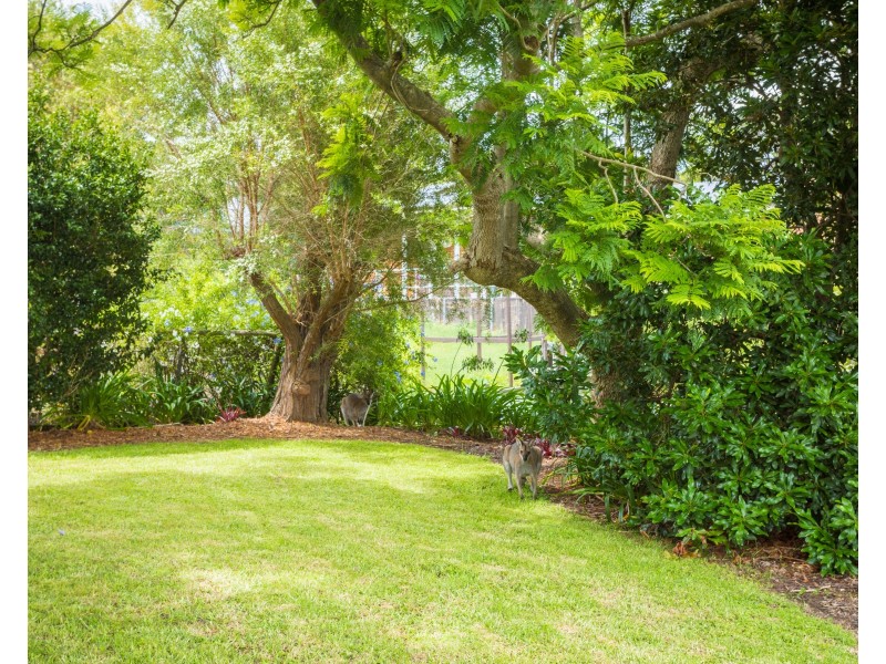 9 DULLING STREET, Dalmeny NSW 2546