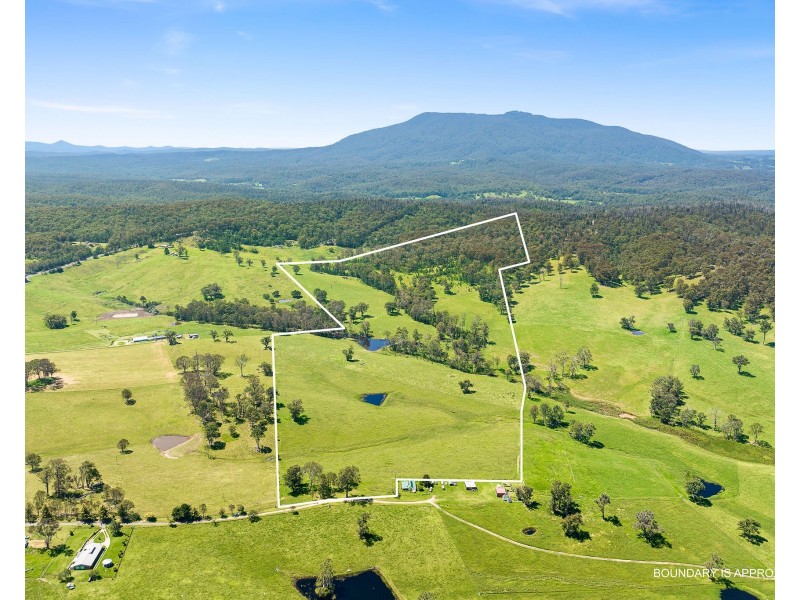 9859 PRINCES HIGHWAY, Cobargo NSW 2550