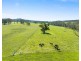 9859 PRINCES HIGHWAY, Cobargo NSW 2550