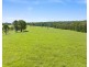 9859 PRINCES HIGHWAY, Cobargo NSW 2550