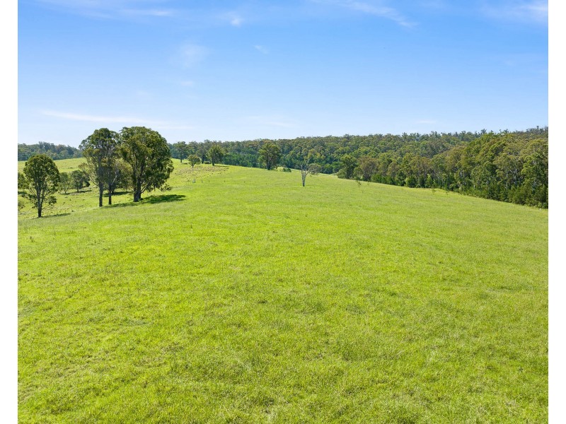 9859 PRINCES HIGHWAY, Cobargo NSW 2550