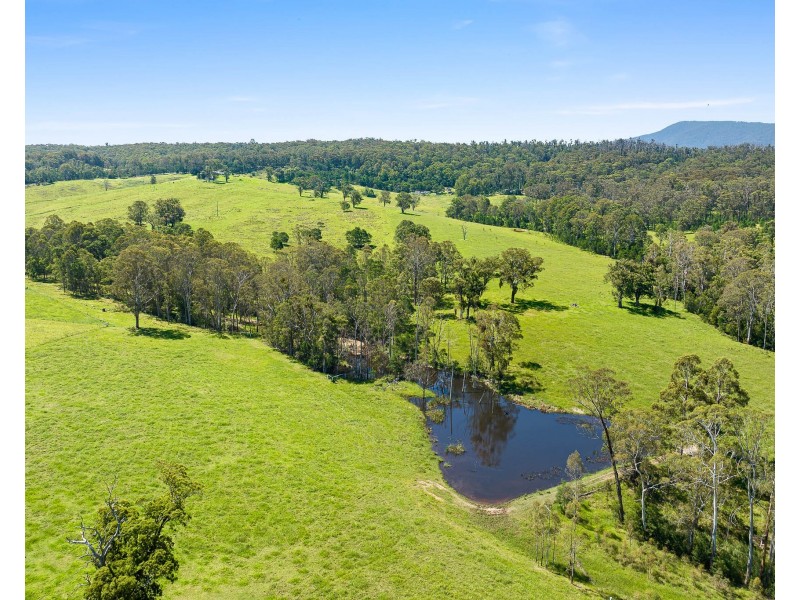 9859 PRINCES HIGHWAY, Cobargo NSW 2550
