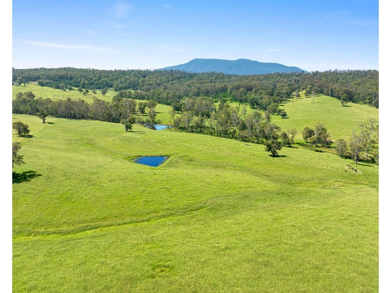 9859 PRINCES HIGHWAY, Cobargo NSW 2550