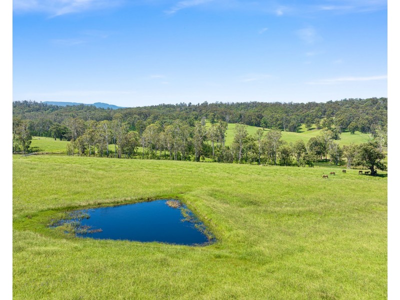 9859 PRINCES HIGHWAY, Cobargo NSW 2550