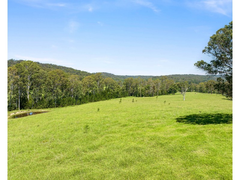 9859 PRINCES HIGHWAY, Cobargo NSW 2550