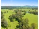 9859 PRINCES HIGHWAY, Cobargo NSW 2550