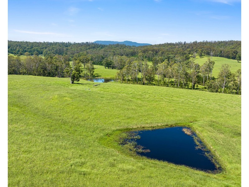 9859 PRINCES HIGHWAY, Cobargo NSW 2550