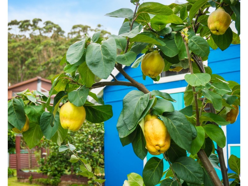 9 FISHERMANS CRESCENT, North Narooma NSW 2546