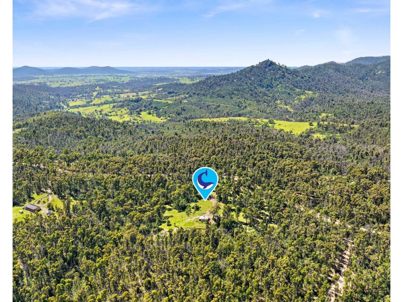 102 Murrabrine Forest Road, Yowrie NSW 2550