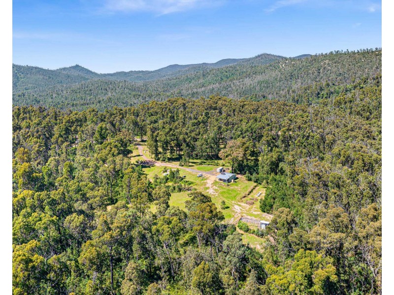 102 Murrabrine Forest Road, Yowrie NSW 2550
