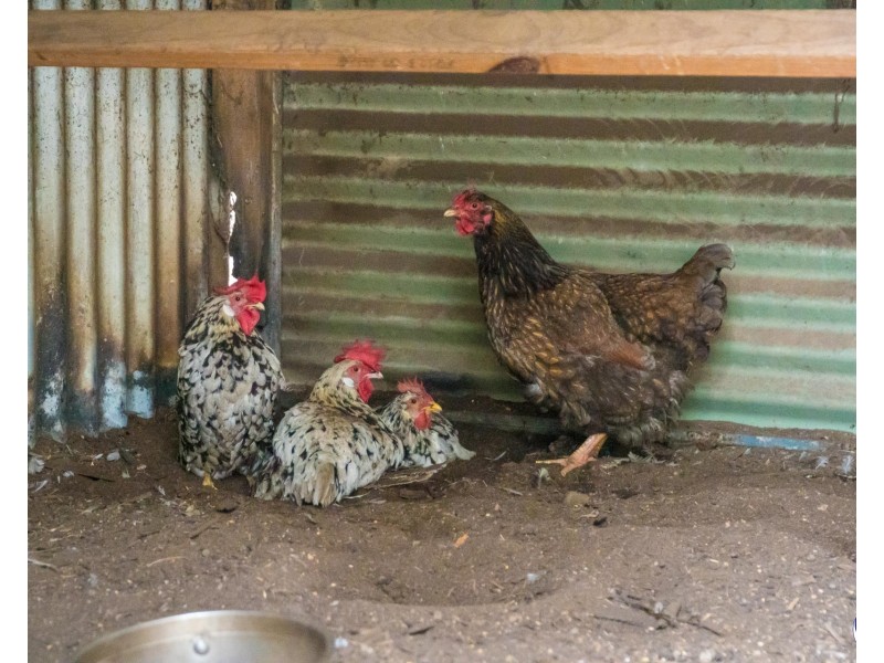 102 Murrabrine Forest Road, Yowrie NSW 2550