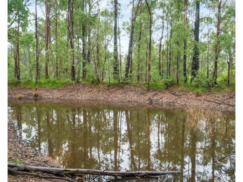 102 Murrabrine Forest Road, Yowrie NSW 2550