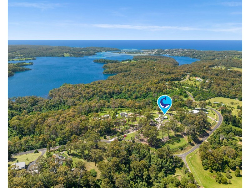84 Rainforest Parkway, Narooma NSW 2546