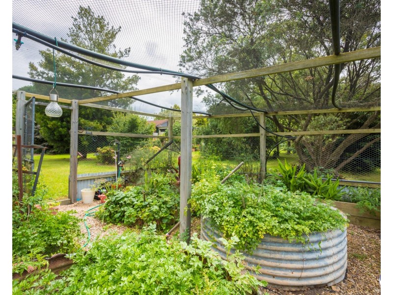 186 PRINCES HIGHWAY, Bodalla NSW 2545