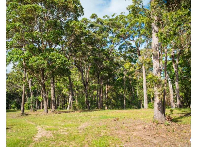 45 (Lot 2) Alexander Drive, Bermagui NSW 2546