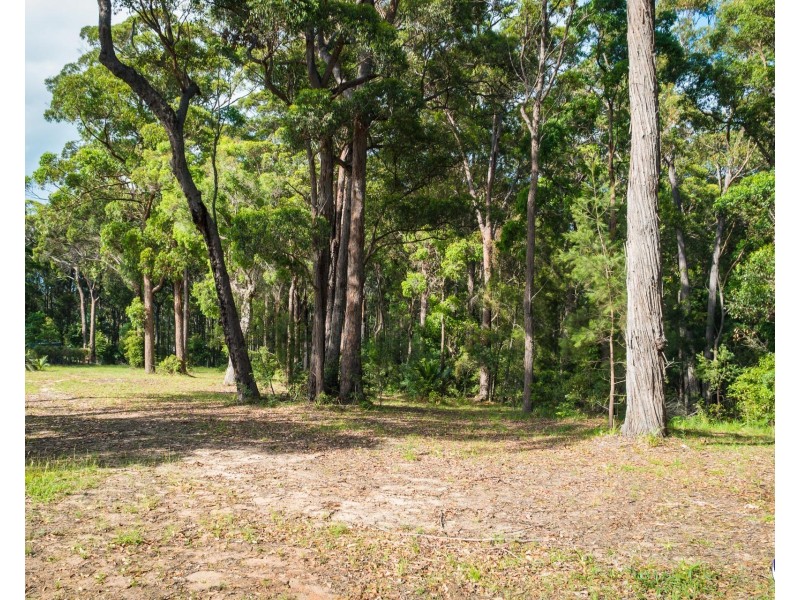 45 (Lot 2) Alexander Drive, Bermagui NSW 2546