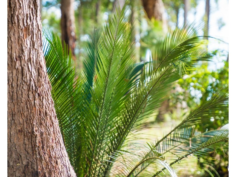 45 (Lot 2) Alexander Drive, Bermagui NSW 2546